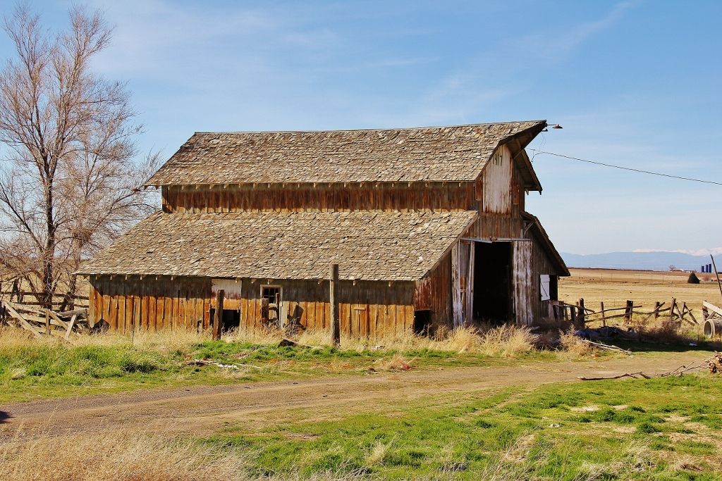 Barn